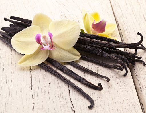 Vanilla Orchid Scented Candles